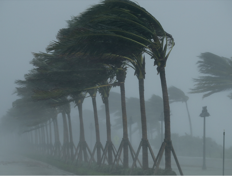 Which states have the most hurricanes?